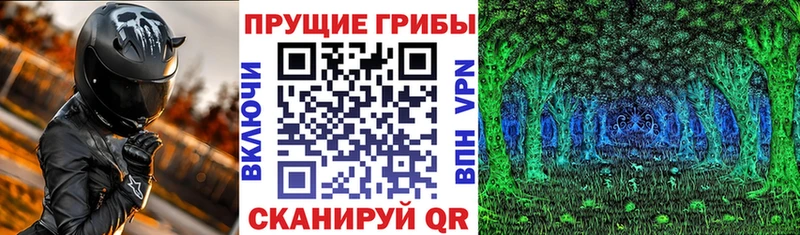 Псилоцибиновые грибы мицелий  ОМГ ОМГ рабочий сайт  Ладушкин 